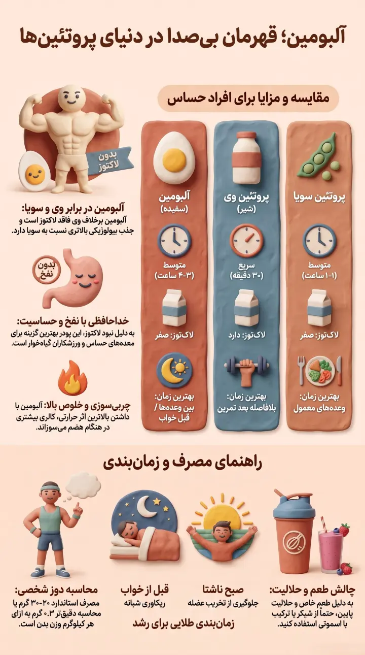 پروتئین آلبومین-پودر سفیده تخم مرغ-پودر سفیده تخم مرغ پامین-پارسی بادی