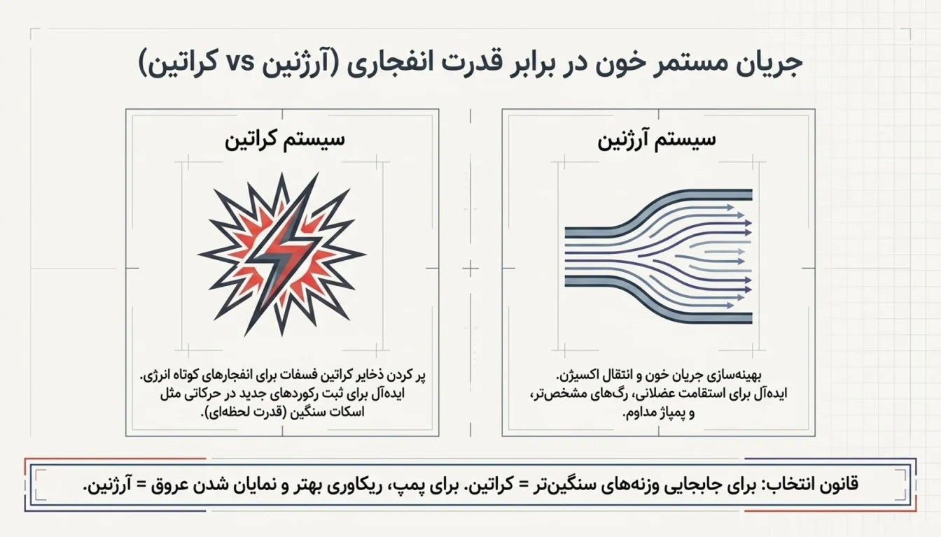 آرژنین در مقابل کراتین-تفاوت آرژنین و کراتین-قرص ال آرژنین پگاه-پارسی بادی