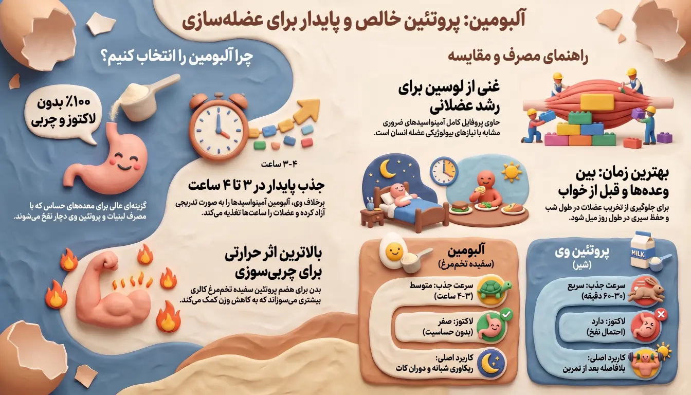 پودر آلبومین-پودر سفیده تخم مرغ-پودر سفیده تخم مرغ پامین-پارسی بادی