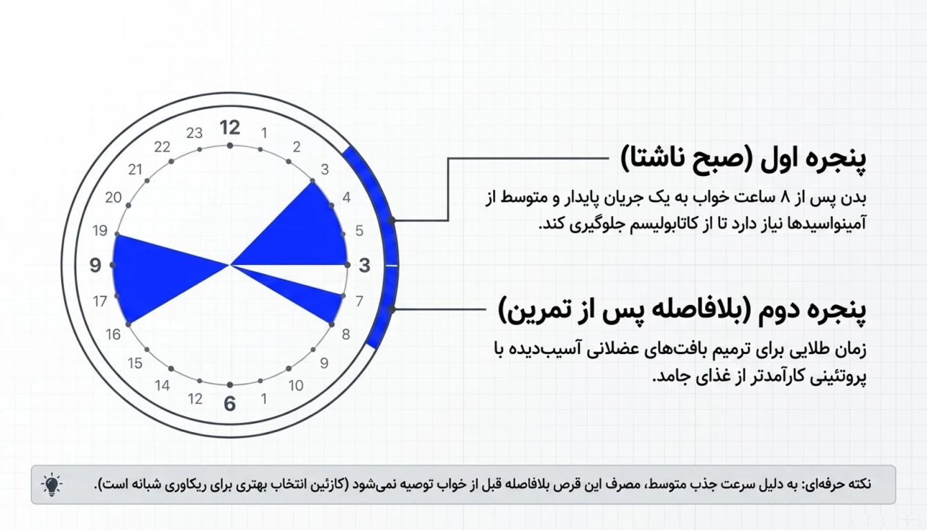 بهترین زمان مصرف قرص سفیده تخم مرغ مگز-قرص سفیده تخم مرغ مگز-پارسی بادی