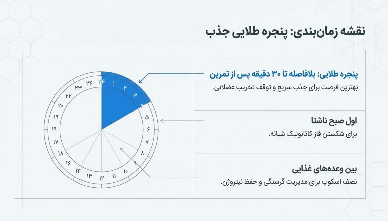 نحوه مصرف و دوز پیشنهادی وی اولترا پاور پگاه-بهترین زمان مصرف وی-زمان مصرف وی پگاه-پارسی بادی