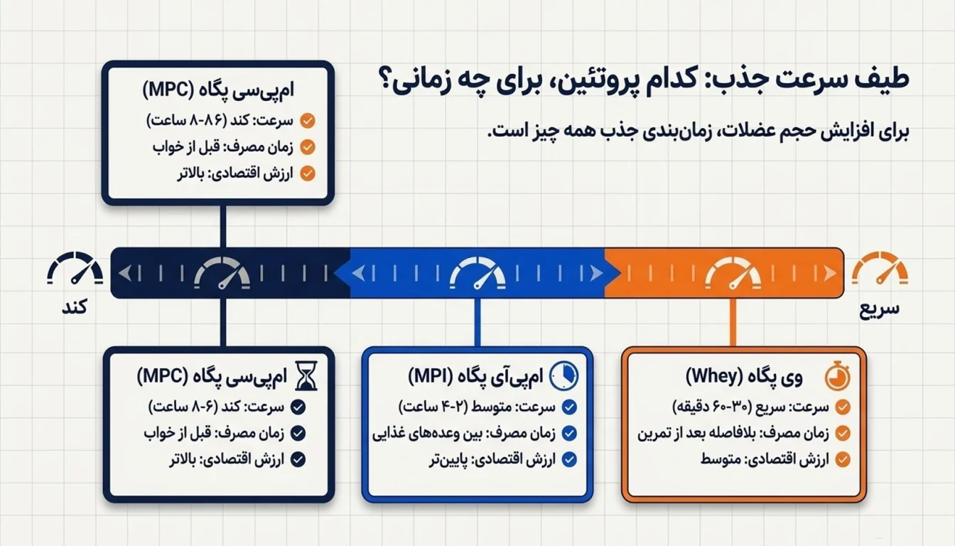 مقایسه وی پگاه تبریز با سایر پروتئینهای پگاه-وی پگاه تبریز-وی پگاه-پارسی بادی
