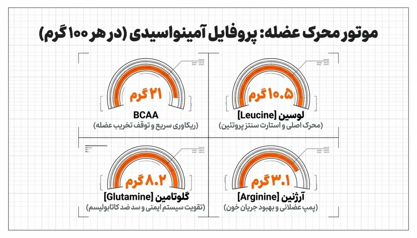پروفایل آمینواسیدی وی پگاه گلپایگان ۸۰ درصد-وی پگاه گلپایگان-پارسی بادی