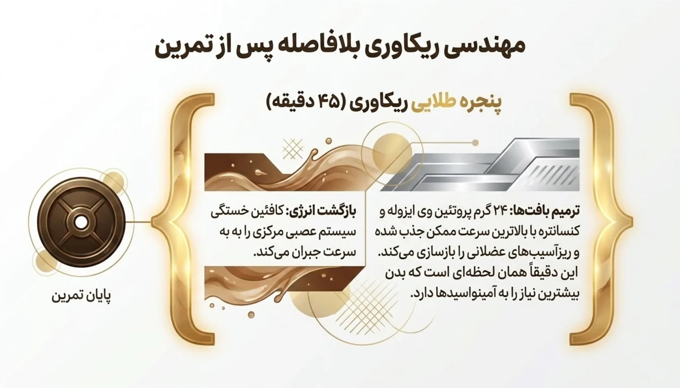 چه زمانی پروکاپو را مصرف کنیم؟-مصرف پروکتپو بعد تمرین-پارسی بادی