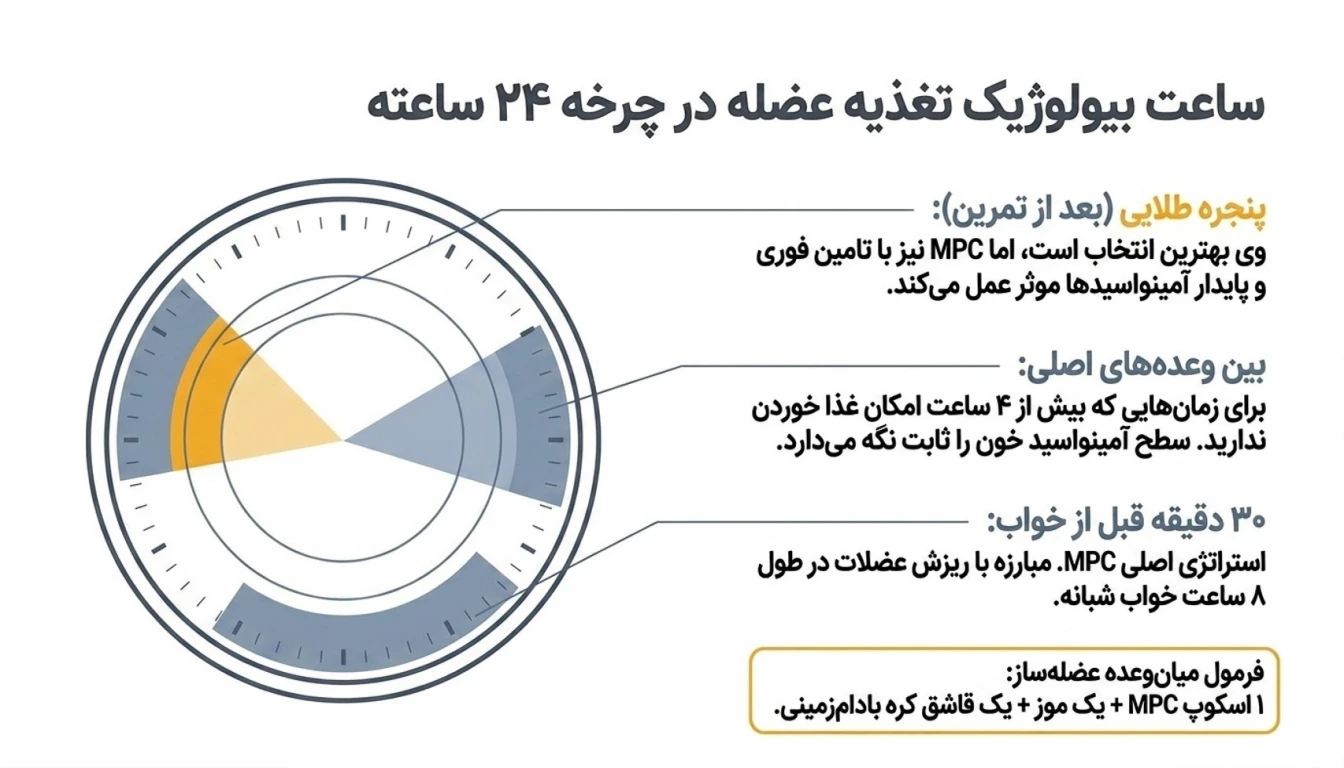 بهترین زمان مصرف پروتئین MPC پگاه-پارسی بادی