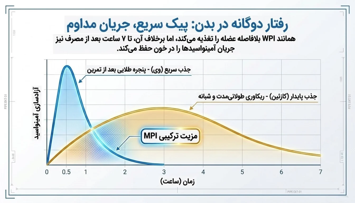 مقایسه MPI پگاه با MPC و وی ایزوله (WPI)-پروتئین MPI پگاه-پارسی بادی