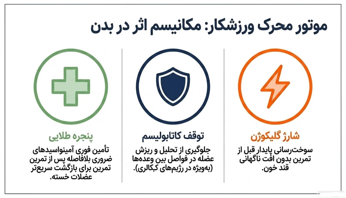 مقایسه پروتئین بار کارن با سایر میانوعده های پروتئینی-مزایای پروتئین بار کارن-پارسی بادی