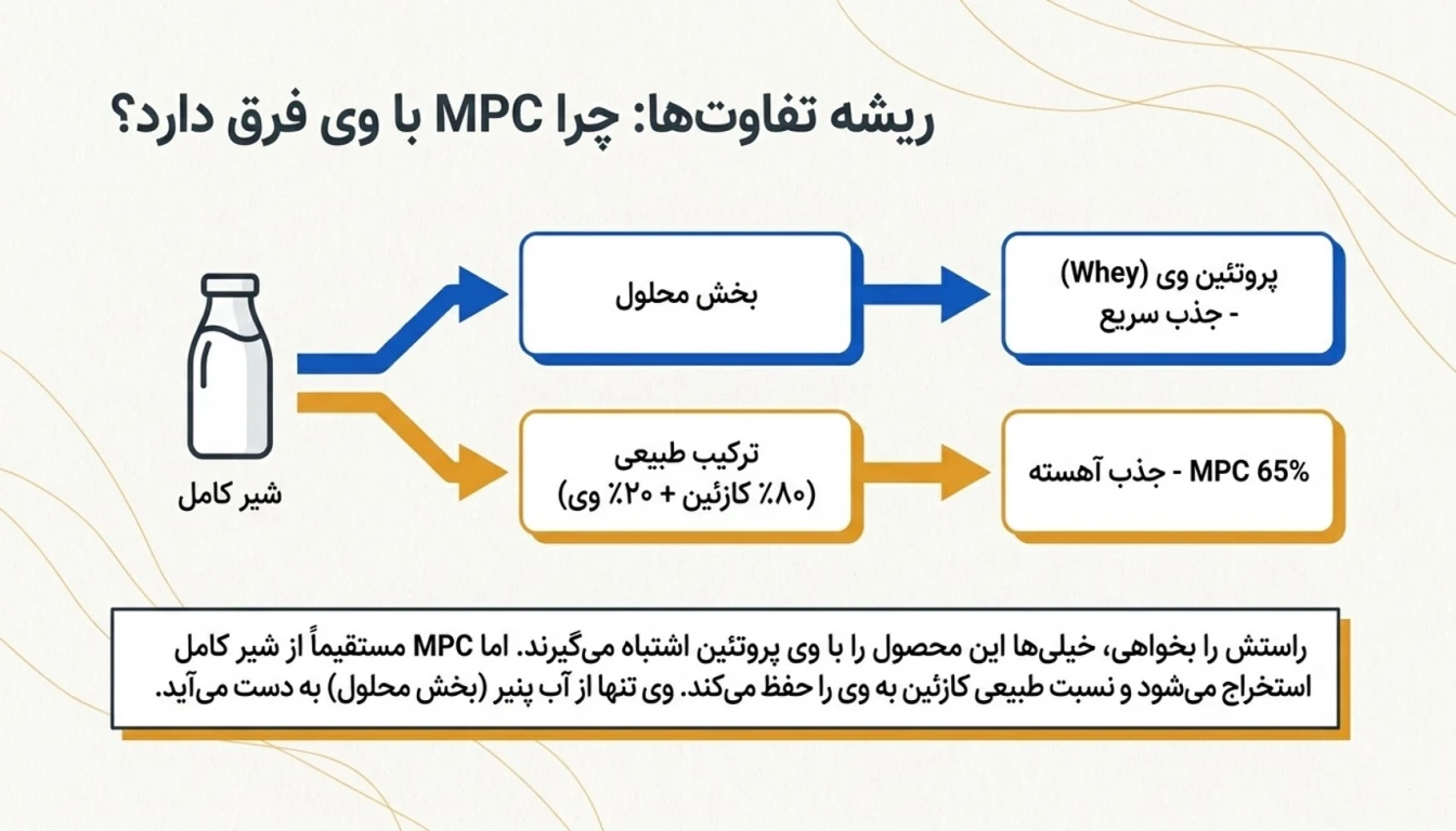 تفاوت MPC با وی پروتئین-پارس بادی