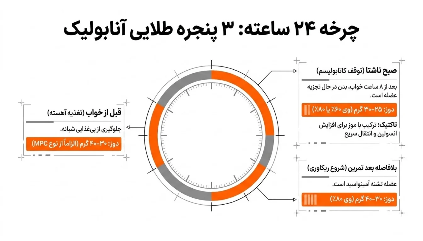 بهترین زمان مصرف پروتئین وی پگاه