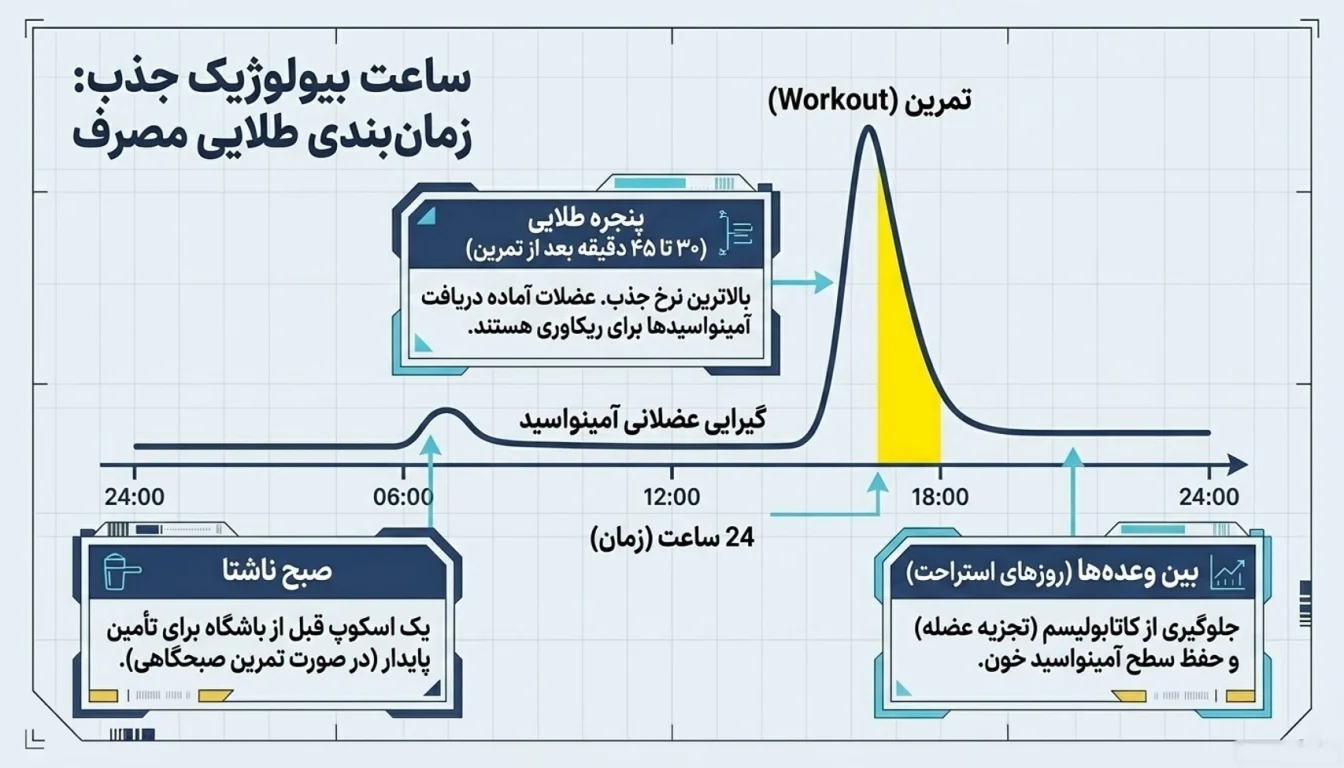 راهنمای مصرف و دوز پیشنهادی پروتئین وی پگاه گلپایگان- وی پگاه- نحوه مصرف وی پگاه-پارسی بادی