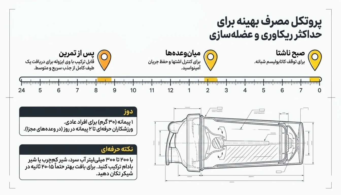نحوه مصرف پودر آلبومین مگز-زمان مصرف پودر سفیده تخم مرغ مگز-پارسی بادی