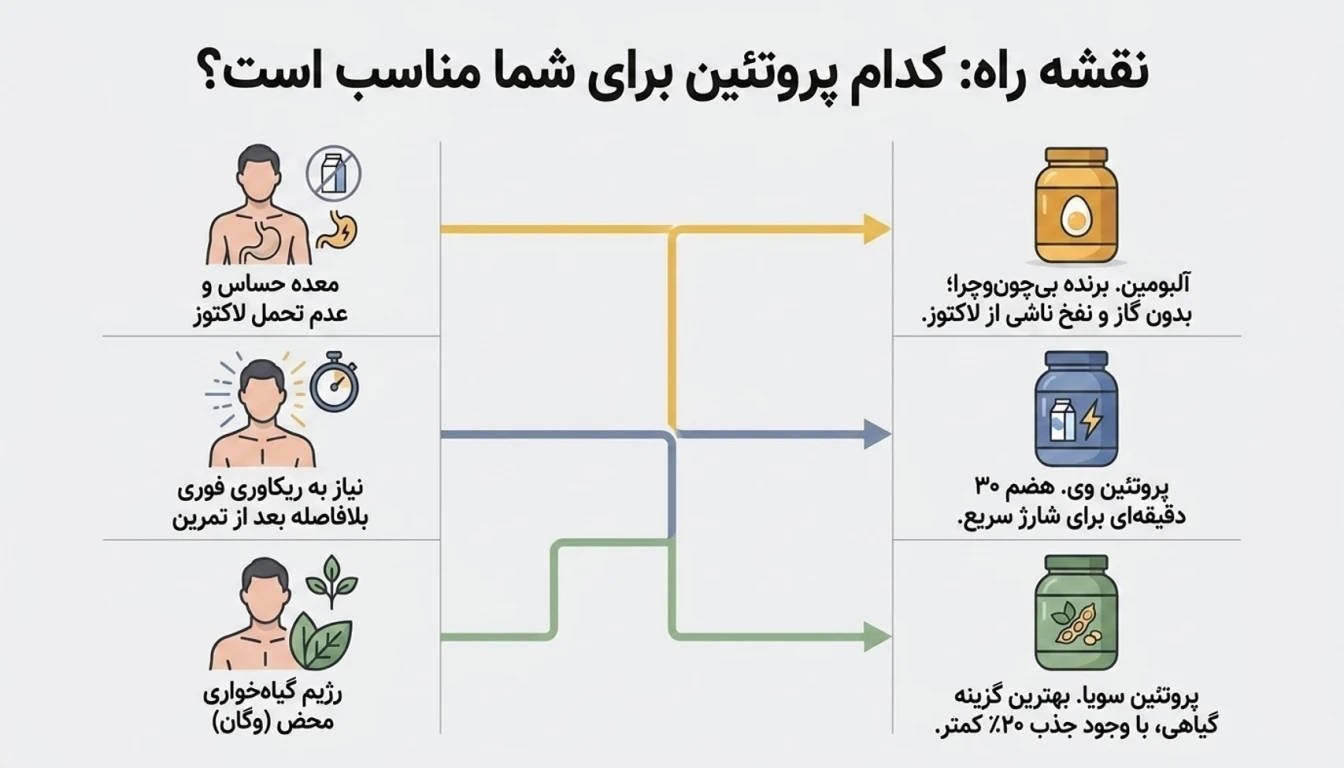 مقایسه پودر سفیده تخم مرغ با سایر پروتئینها
