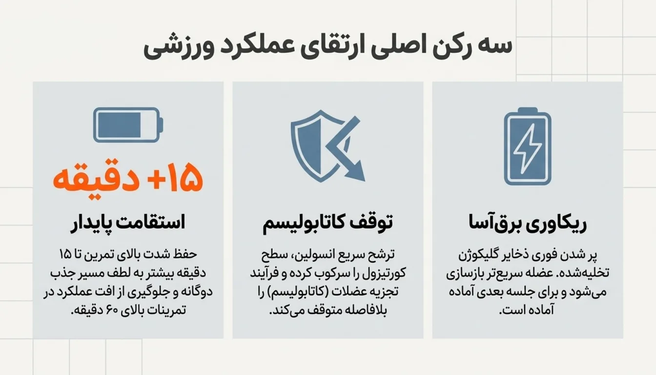 مزایای مصرف کربوهیدرات پگاه برای ورزشکاران-پارسی بادی